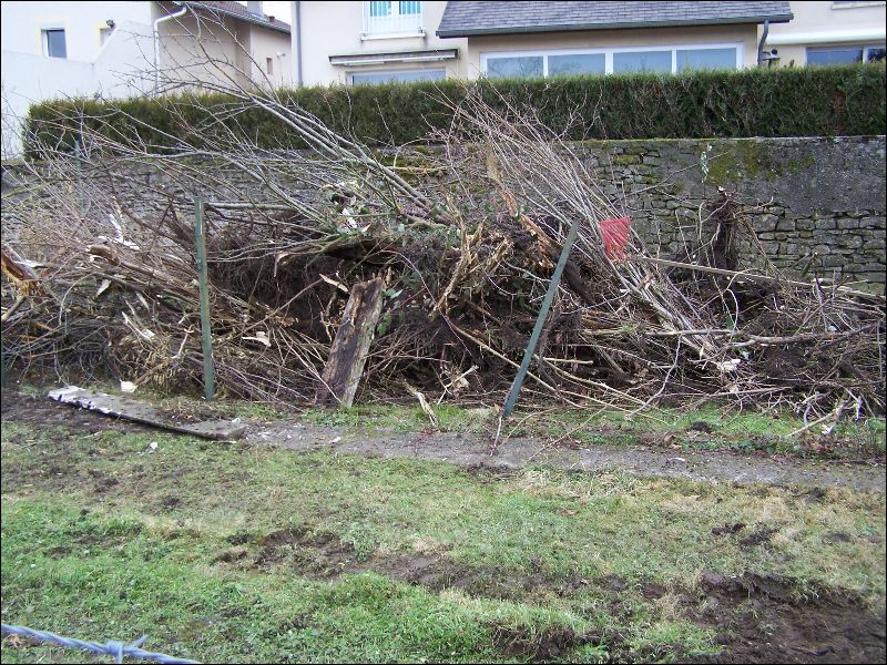 gal/AkadienHomes/Le_debut_des_travaux/100_3825.JPG