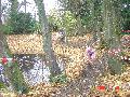 gal/Cyclo_Cross_2008/Cyclo_Cross_16_novembre_2008/_thb_DSC05371.JPG