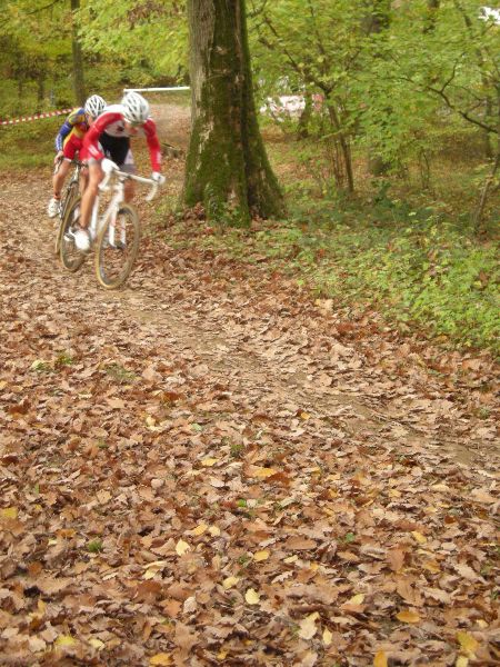 gal/Cyclo_Cross_2008/Cyclo_Cross_Elites_26_octobre_2008/DSCN2260.JPG