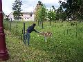 gal/Saison_2013/Basse_Ham_29_Juin_2013/_thb_105_6424.JPG