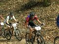 gal/VTT_2009/Epreuve_VTT_Hombourg_Haut/_thb_DSCN3264.JPG
