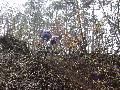 gal/VTT_2009/Epreuve_VTT_Villers_5_avril_2009/_thb_DSC00059.JPG