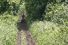 gal/VTT_2009/VTT_Algrange_7_juin_2009_Suite/_thb_IMG_3124.JPG