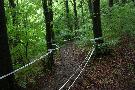 gal/VTT_2009/VTT_Algrange_7_juin_2009_a/_thb_IMG_9088.JPG