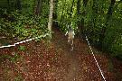 gal/VTT_2009/VTT_Algrange_7_juin_2009_a/_thb_IMG_9412.JPG