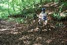 gal/VTT_2009/VTT_Algrange_7_juin_2009_a/_thb_IMG_9620.JPG