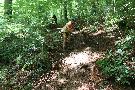 gal/VTT_2009/VTT_Algrange_7_juin_2009_a/_thb_IMG_9624.JPG