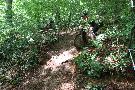 gal/VTT_2009/VTT_Algrange_7_juin_2009_a/_thb_IMG_9631.JPG