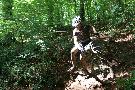 gal/VTT_2009/VTT_Algrange_7_juin_2009_a/_thb_IMG_9642.JPG